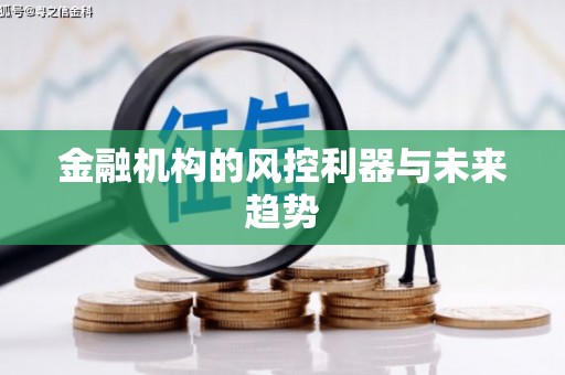 安次金融机构的风控利器与未来趋势