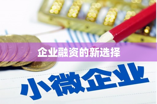 安次企业融资的新选择