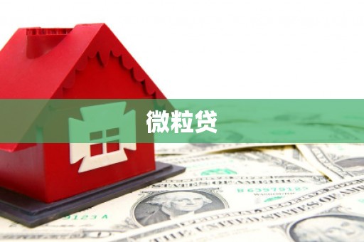 安次微粒贷