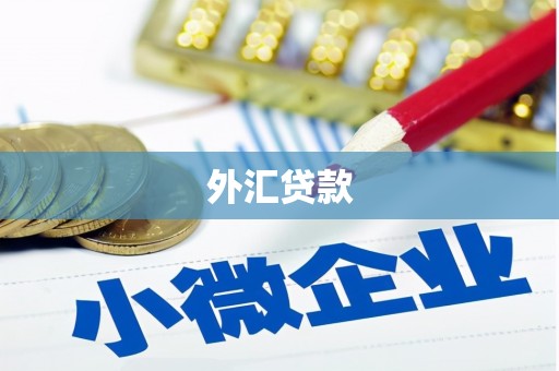 安次外汇贷款