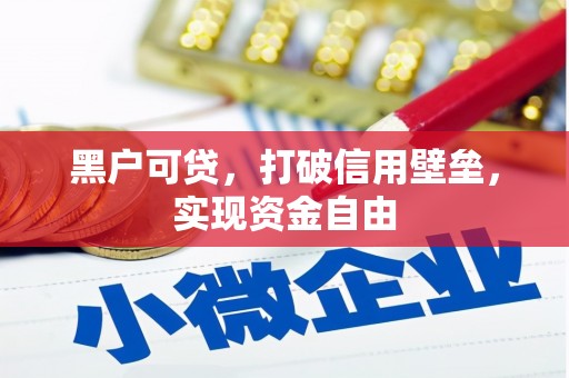 安次黑户可贷，打破信用壁垒，实现资金自由