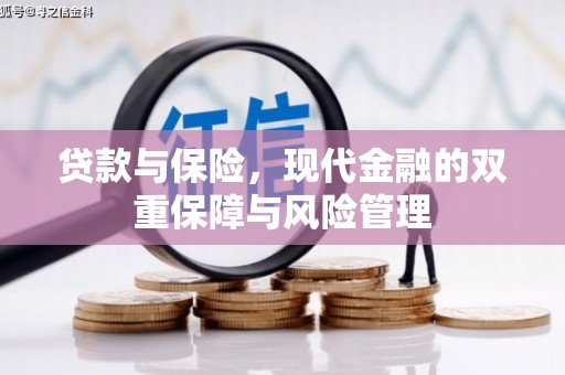 安次贷款与保险，现代金融的双重保障与风险管理