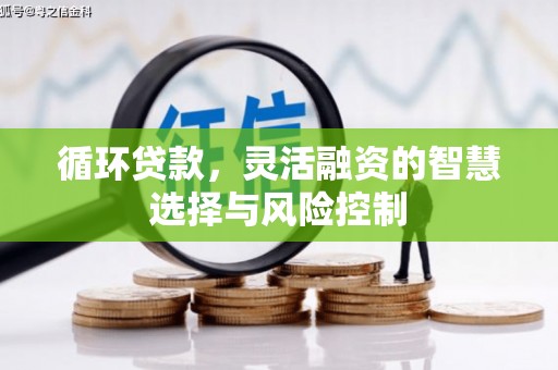 安次循环贷款，灵活融资的智慧选择与风险控制