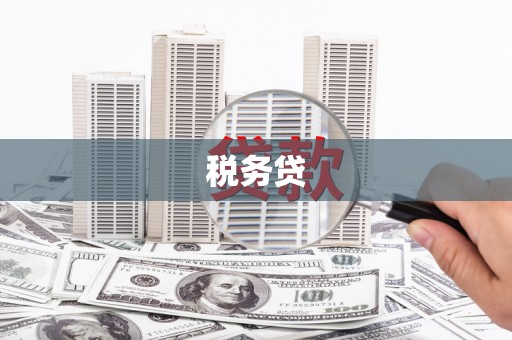 安次税务贷