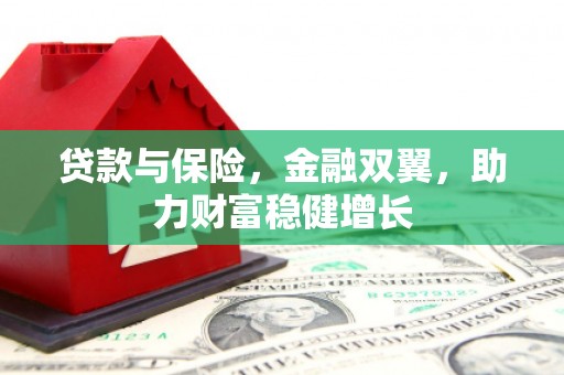 安次贷款与保险，金融双翼，助力财富稳健增长