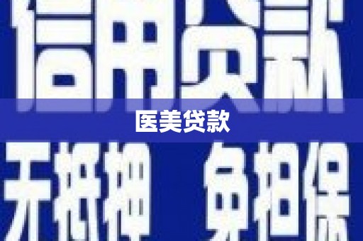 安次医美贷款