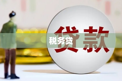 安次税务贷