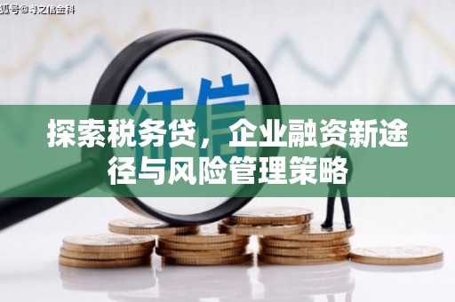 安次探索税务贷，企业融资新途径与风险管理策略