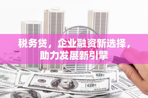 安次税务贷，企业融资新选择，助力发展新引擎