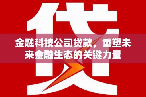 安次金融科技公司贷款，重塑未来金融生态的关键力量
