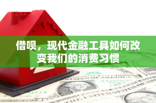 安次借呗，现代金融工具如何改变我们的消费习惯