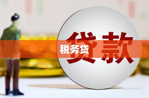 安次税务贷