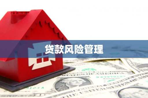 安次贷款风险管理