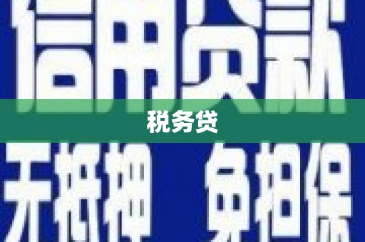 安次税务贷