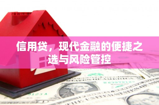安次信用贷，现代金融的便捷之选与风险管控