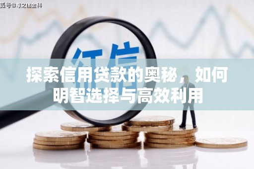 安次探索信用贷款的奥秘，如何明智选择与高效利用