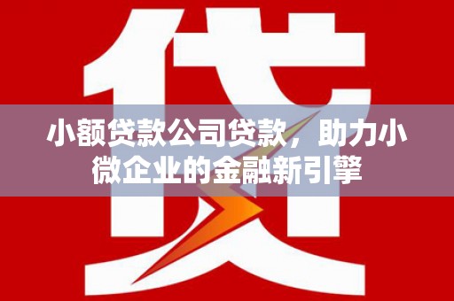 安次小额贷款公司贷款，助力小微企业的金融新引擎