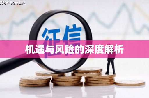 安次机遇与风险的深度解析