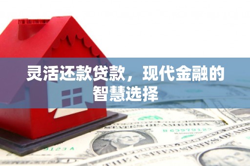 安次灵活还款贷款，现代金融的智慧选择