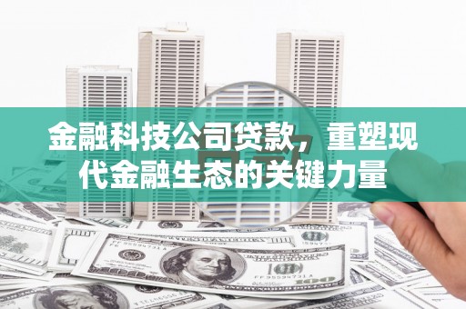 安次金融科技公司贷款，重塑现代金融生态的关键力量