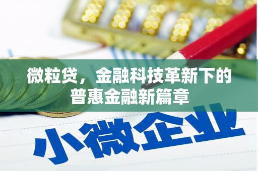 安次微粒贷，金融科技革新下的普惠金融新篇章