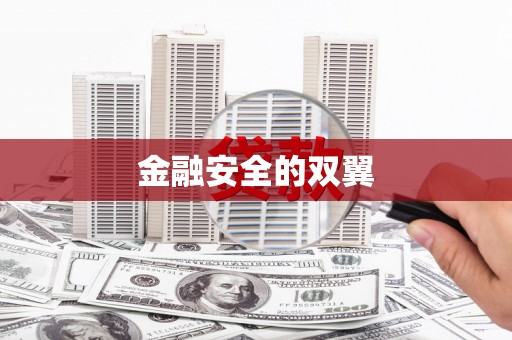 安次金融安全的双翼