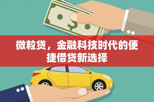 安次微粒贷，金融科技时代的便捷借贷新选择