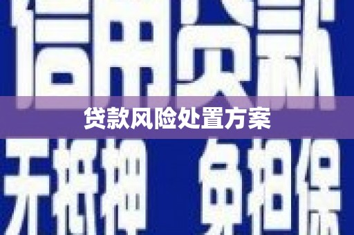 安次贷款风险处置方案