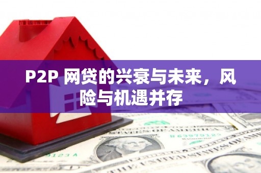 安次P2P 网贷的兴衰与未来，风险与机遇并存