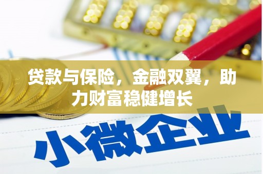 安次贷款与保险，金融双翼，助力财富稳健增长