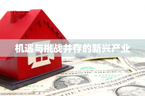 安次机遇与挑战并存的新兴产业